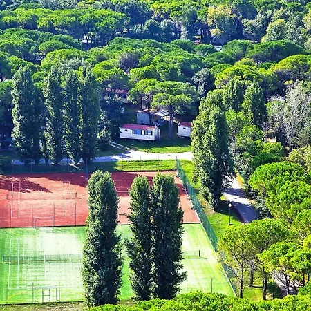 Belvedere,